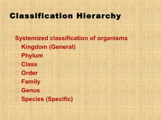 Classification Hierarchy
Systemized classification of organisms
􀂄 Kingdom (General)
􀂄 Phylum
􀂄 Class
􀂄 Order
􀂄 Family
􀂄 Genus
􀂄 Species (Specific)
 