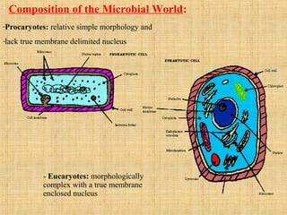 • Composition of the Microbial World:
-Procaryotes: relative simple morphology and
-lack true membrane delimited nucleus
- Eucaryotes: morphologically
complex with a true membrane
enclosed nucleus
 
