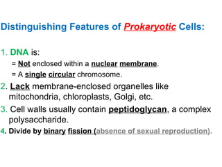 Distinguishing Features of Prokaryotic Cells:
1. DNA is:
= Not enclosed within a nuclear membrane.
= A single circular chromosome.
2. Lack membrane-enclosed organelles like
mitochondria, chloroplasts, Golgi, etc.
3. Cell walls usually contain peptidoglycan, a complex
polysaccharide.
4. Divide by binary fission (absence of sexual reproduction).
 