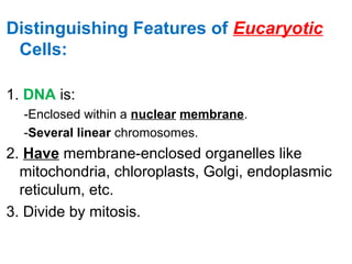 Distinguishing Features of Eucaryotic
Cells:
1. DNA is:
-Enclosed within a nuclear membrane.
-Several linear chromosomes.
2. Have membrane-enclosed organelles like
mitochondria, chloroplasts, Golgi, endoplasmic
reticulum, etc.
3. Divide by mitosis.
 