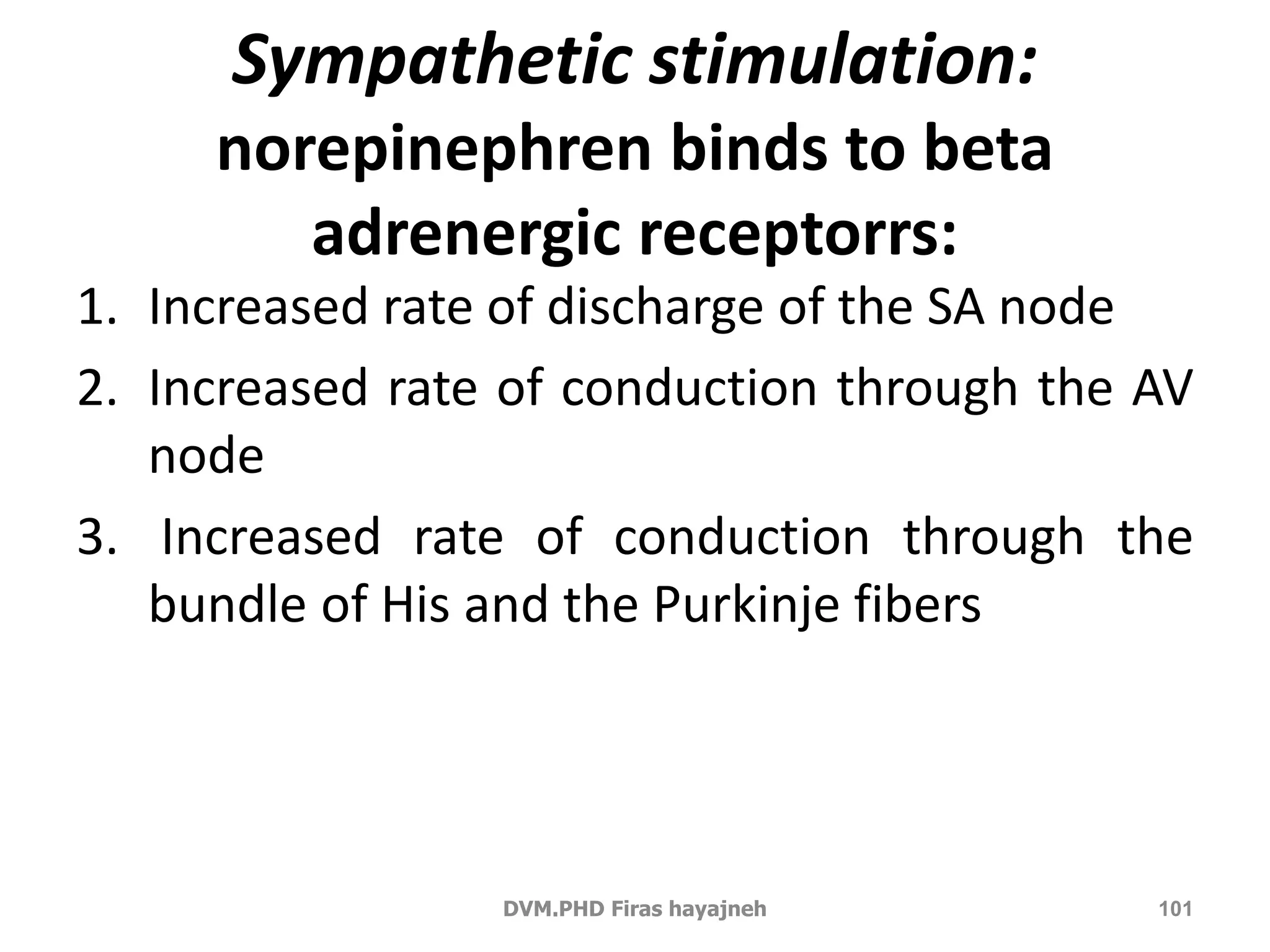 Sympathetic stimulation: 
norepinephren binds to beta 
adrenergic receptorrs: 
1. Increased rate of discharge of the SA node 
2. Increased rate of conduction through the AV 
node 
3. Increased rate of conduction through the 
bundle of His and the Purkinje fibers 
DVM.PHD Firas hayajneh 101 
 