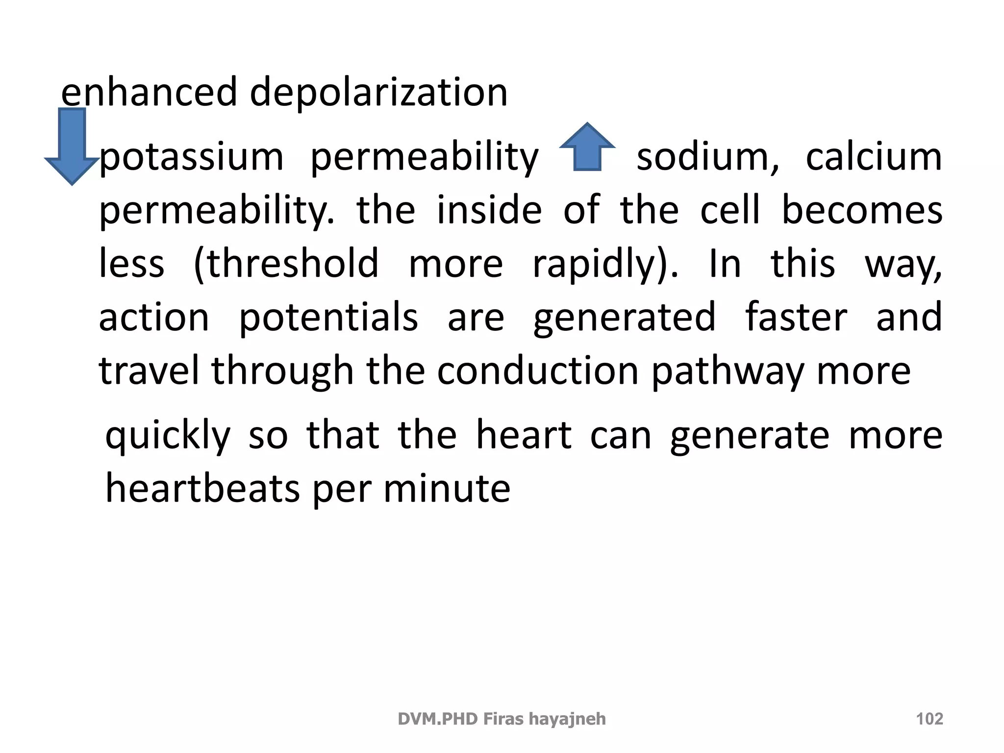 enhanced depolarization 
• potassium permeability sodium, calcium 
permeability. the inside of the cell becomes 
less (threshold more rapidly). In this way, 
action potentials are generated faster and 
travel through the conduction pathway more 
quickly so that the heart can generate more 
heartbeats per minute 
DVM.PHD Firas hayajneh 102 
 