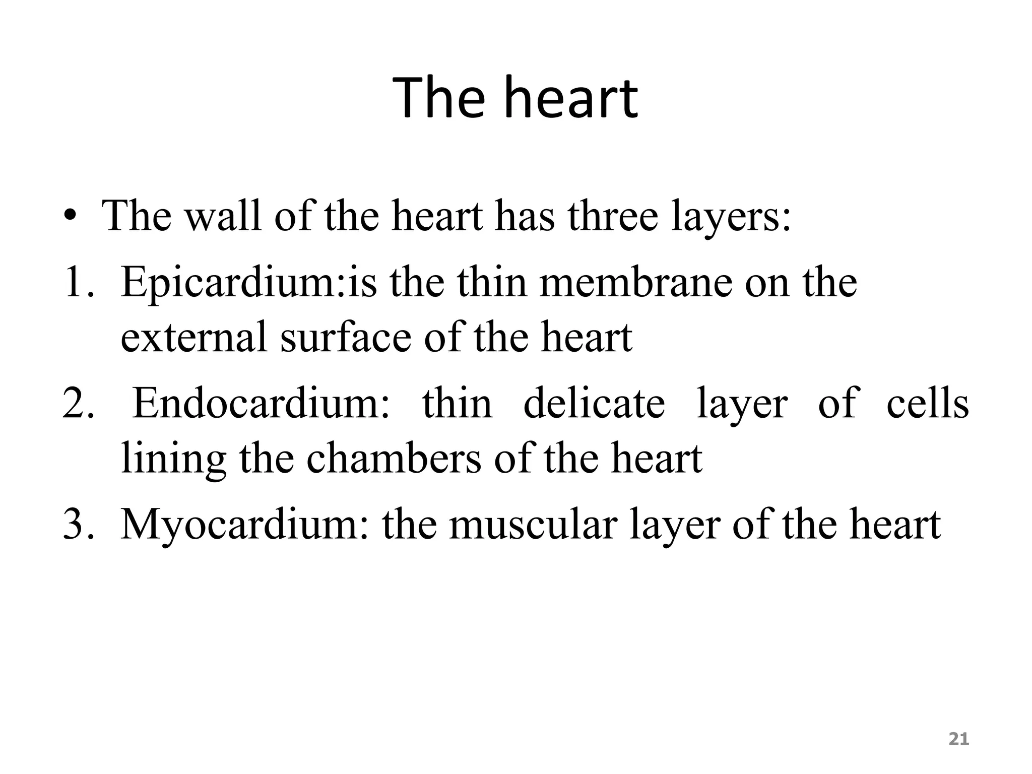 The heart 
• The wall of the heart has three layers: 
1. Epicardium:is the thin membrane on the 
external surface of the heart 
2. Endocardium: thin delicate layer of cells 
lining the chambers of the heart 
3. Myocardium: the muscular layer of the heart 
21 
 