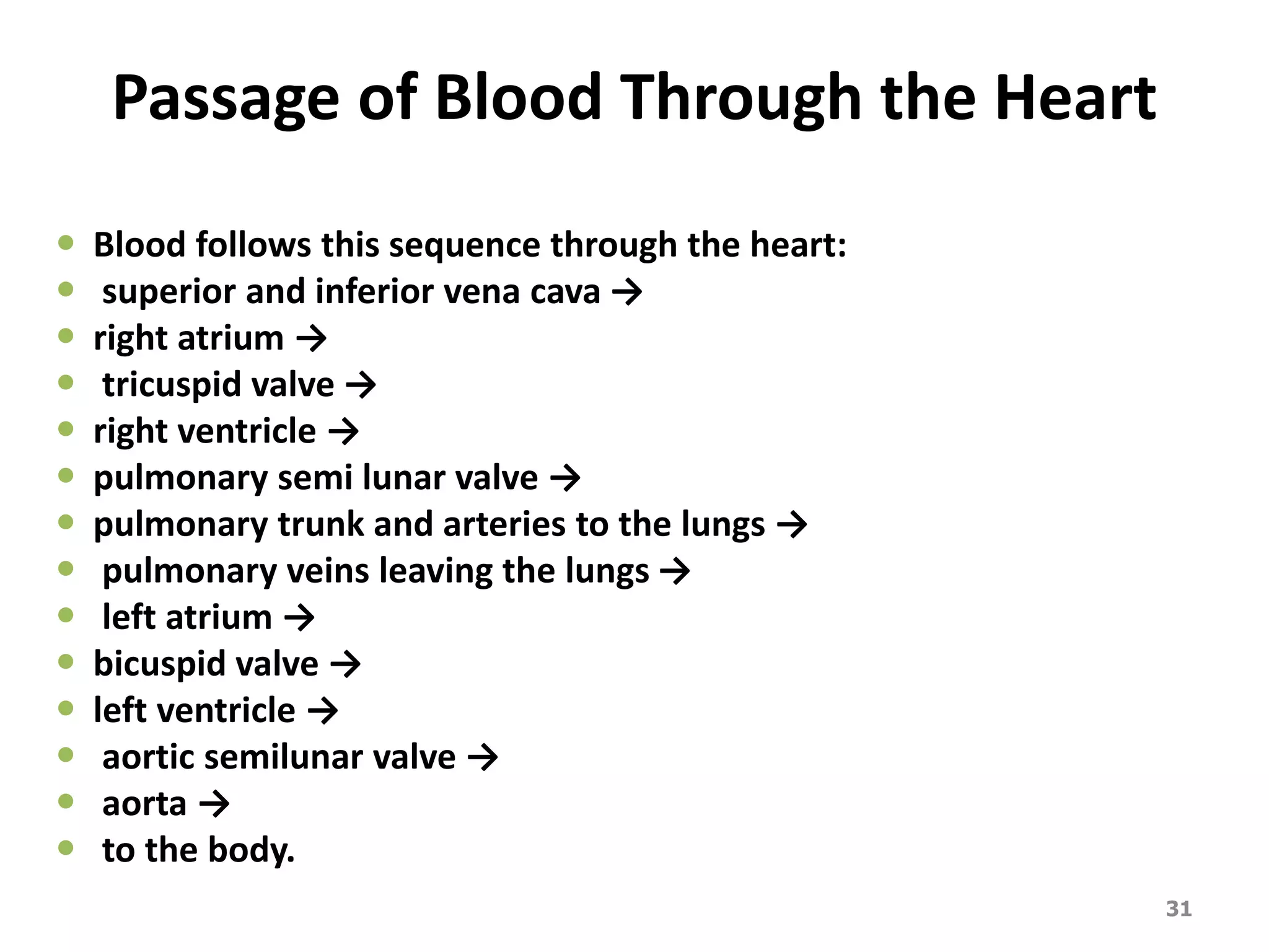 Passage of Blood Through the Heart 
 Blood follows this sequence through the heart: 
 superior and inferior vena cava → 
 right atrium → 
 tricuspid valve → 
 right ventricle → 
 pulmonary semi lunar valve → 
 pulmonary trunk and arteries to the lungs → 
 pulmonary veins leaving the lungs → 
 left atrium → 
 bicuspid valve → 
 left ventricle → 
 aortic semilunar valve → 
 aorta → 
 to the body. 
31 
 