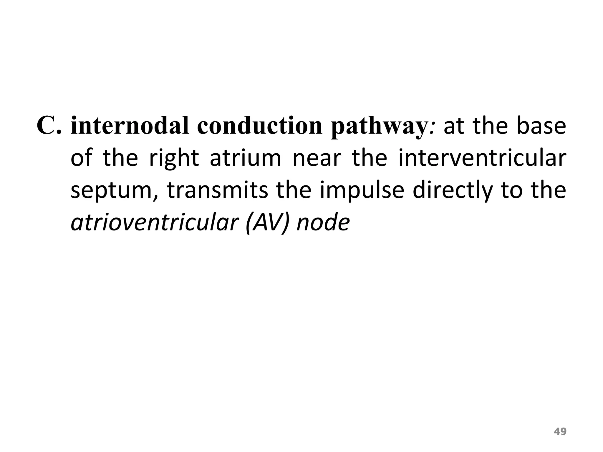 C. internodal conduction pathway: at the base 
of the right atrium near the interventricular 
septum, transmits the impulse directly to the 
atrioventricular (AV) node 
49 
 