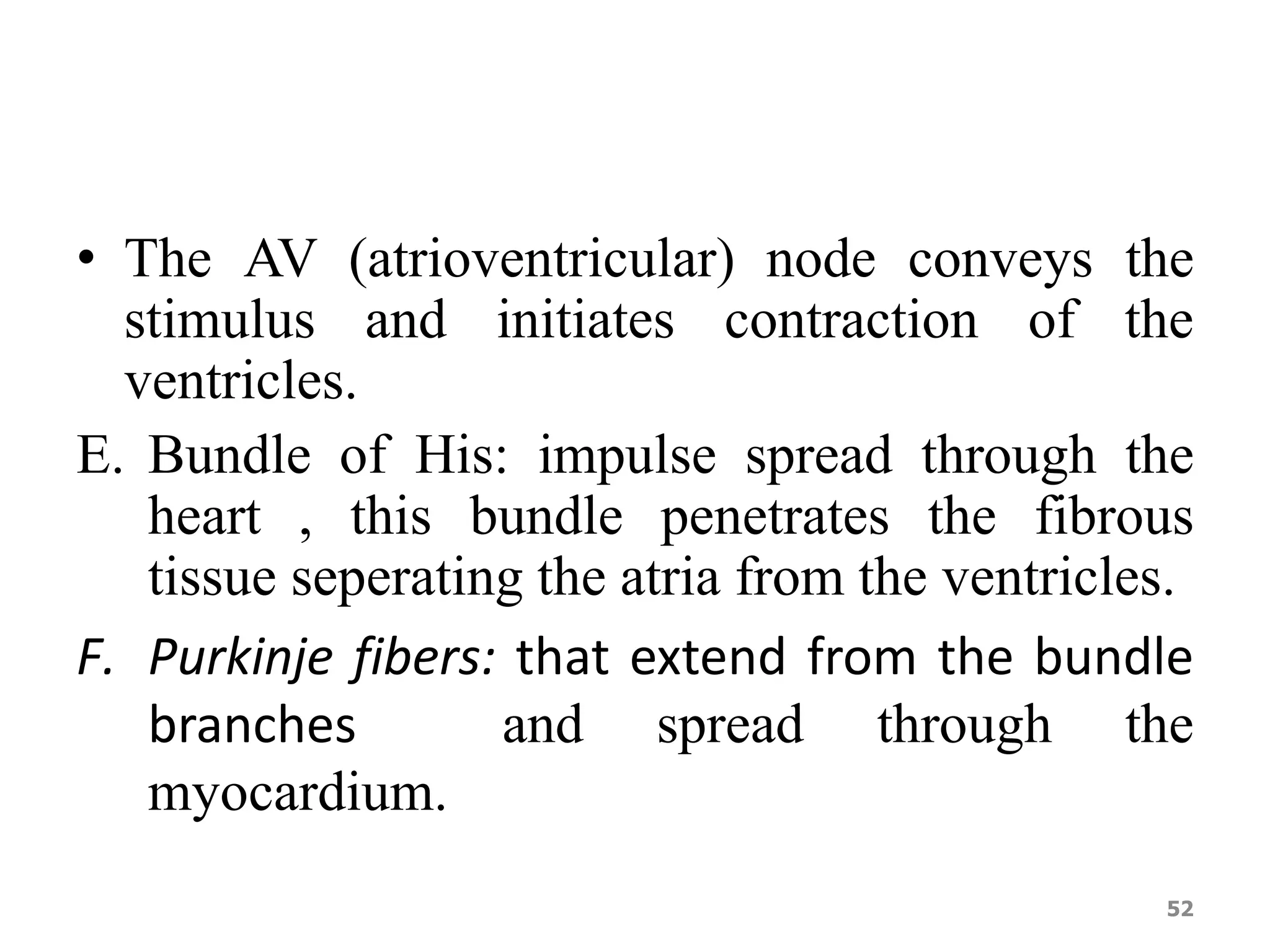 • The AV (atrioventricular) node conveys the 
stimulus and initiates contraction of the 
ventricles. 
E. Bundle of His: impulse spread through the 
heart , this bundle penetrates the fibrous 
tissue seperating the atria from the ventricles. 
F. Purkinje fibers: that extend from the bundle 
branches and spread through the 
myocardium. 
52 
 