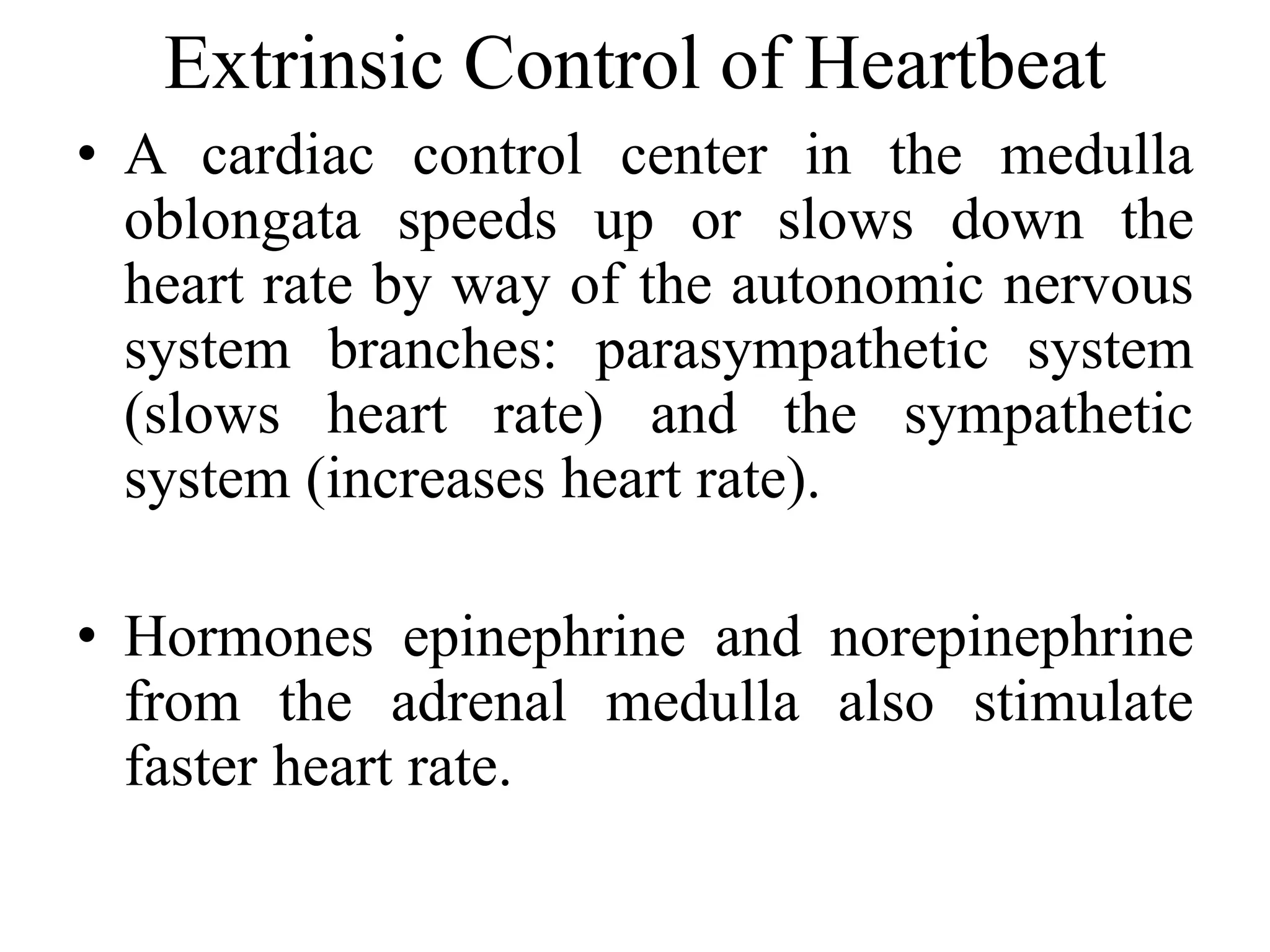 Extrinsic Control of Heartbeat 
• A cardiac control center in the medulla 
oblongata speeds up or slows down the 
heart rate by way of the autonomic nervous 
system branches: parasympathetic system 
(slows heart rate) and the sympathetic 
system (increases heart rate). 
• Hormones epinephrine and norepinephrine 
from the adrenal medulla also stimulate 
faster heart rate. 
 