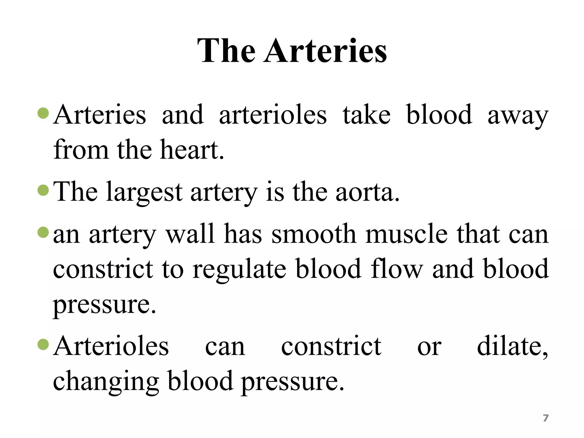 The Arteries 
Arteries and arterioles take blood away 
from the heart. 
The largest artery is the aorta. 
an artery wall has smooth muscle that can 
constrict to regulate blood flow and blood 
pressure. 
Arterioles can constrict or dilate, 
changing blood pressure. 
7 
 