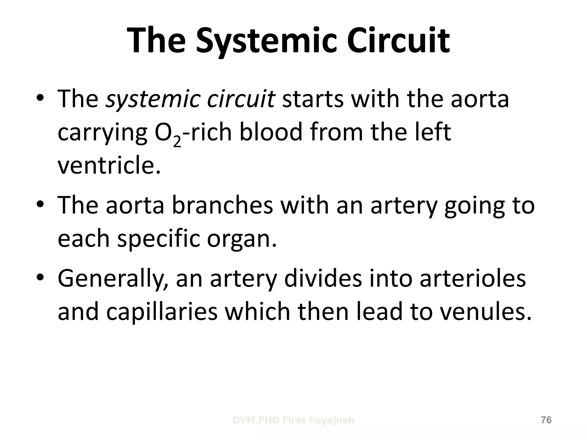The Systemic Circuit 
• The systemic circuit starts with the aorta 
carrying O2-rich blood from the left 
ventricle. 
• The aorta branches with an artery going to 
each specific organ. 
• Generally, an artery divides into arterioles 
and capillaries which then lead to venules. 
DVM.PHD Firas hayajneh 76 
 