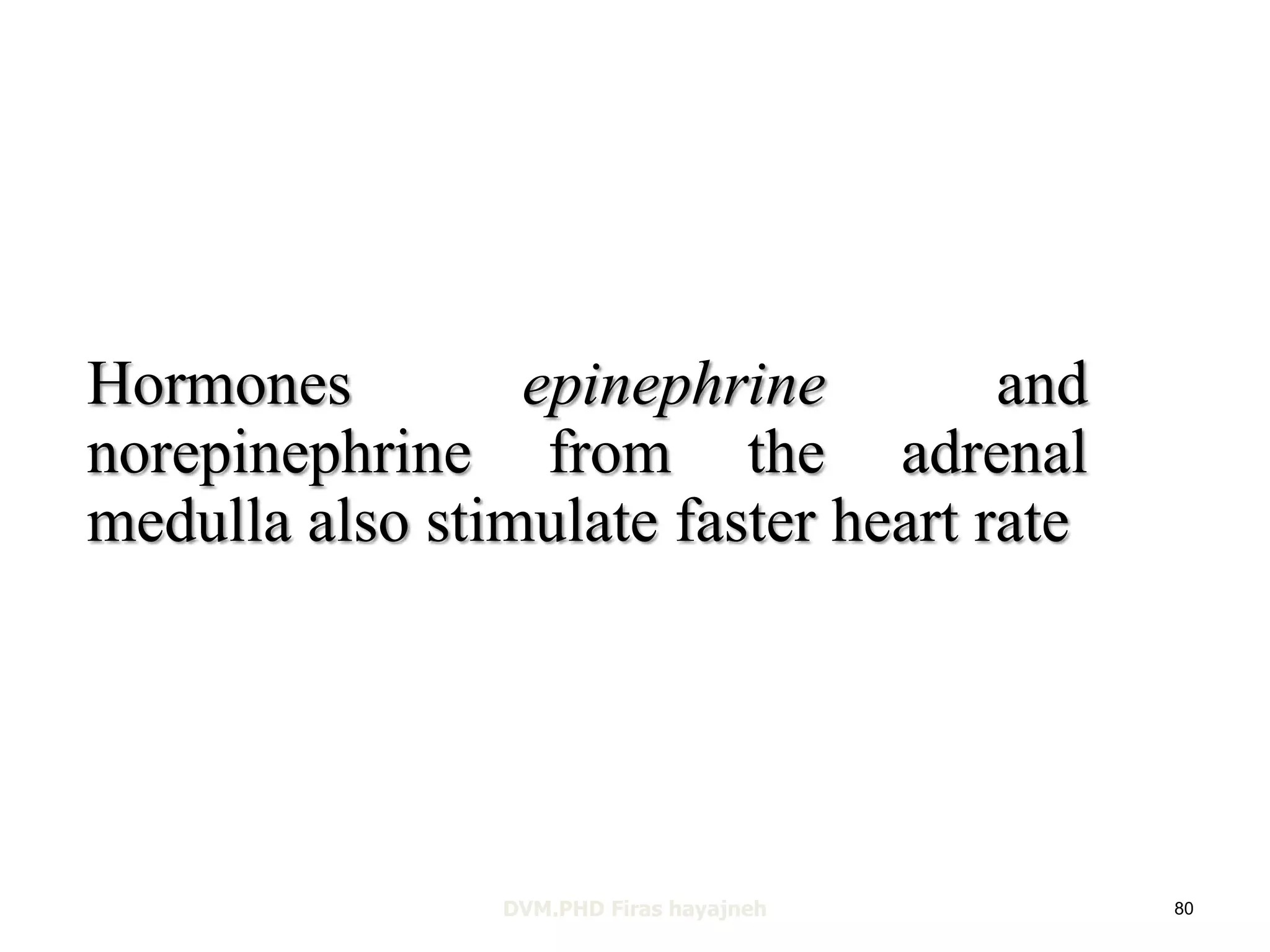 Hormones epinephrine and 
norepinephrine from the adrenal 
medulla also stimulate faster heart rate 
DVM.PHD Firas hayajneh 80 
 