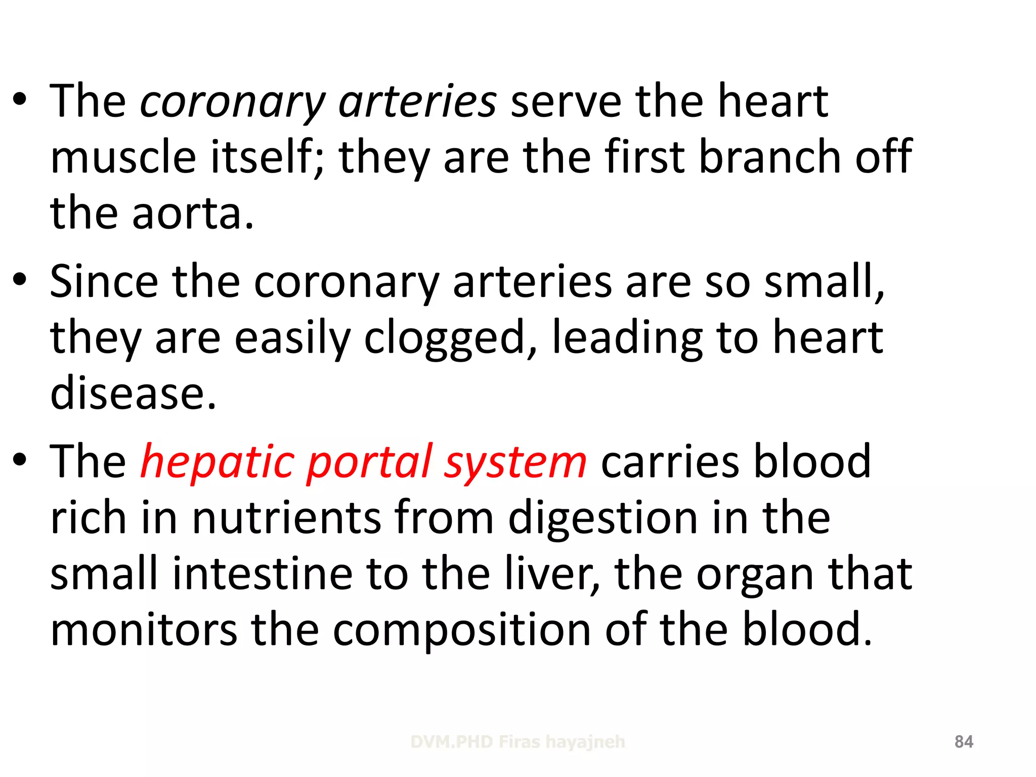 • The coronary arteries serve the heart 
muscle itself; they are the first branch off 
the aorta. 
• Since the coronary arteries are so small, 
they are easily clogged, leading to heart 
disease. 
• The hepatic portal system carries blood 
rich in nutrients from digestion in the 
small intestine to the liver, the organ that 
monitors the composition of the blood. 
DVM.PHD Firas hayajneh 84 
 
