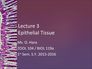 Lecture 3
Epithelial Tissue
Ms. O. Hara
ZOOL 104 / BIOL 119a
1st
Sem. S.Y. 2015-2016
 