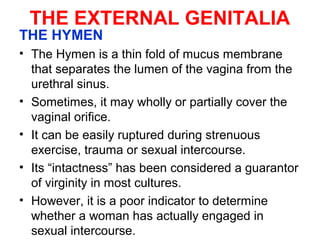 THE EXTERNAL GENITALIA
THE HYMEN
• The Hymen is a thin fold of mucus membrane
that separates the lumen of the vagina from ...