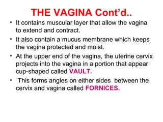 THE VAGINA Cont’d..
• There are 4 Fornices: ANTERIOR,
POSTERIOR and TWO LATERAL
FORNICES.
STRUCTURE OF THE VAGINA
• The va...