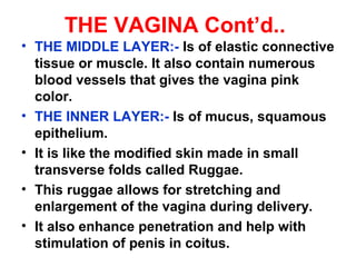 THE VAGINA Cont’d..
RELATIONS OF THE VAGINA
• Anteriorly – Urethra & base of bladder, each
occuping 1.2cm of the length of...