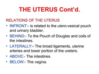 THE UTERUS Cont’d..
• BLOOD SUPPLY:- Is from the uterine and
partly from ovarian arteries.
• VENOUS RETURN:- is from the u...