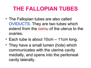 THE FALLOPIAN TUBES Cont’d.
• BLOOD SUPPLY:- Is from the
uterine and ovarian arteries
• VENOUS RETURN is from
correspondin...