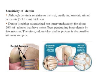 Lect.1 2018 - biological consideration of the enamel and dentine ...