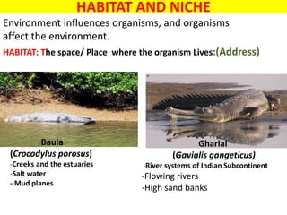 Niche Rivers Application of ecological principles in restoration of degraded ...