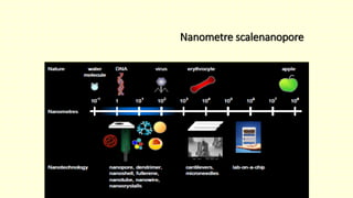 Nanometre scalenanopore
 