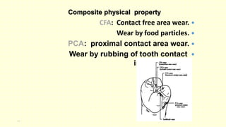 48
CFA: Contact free area wear.
Wear by food particles.
PCA: proximal contact area wear.
Wear by rubbing of tooth contact
interproximally.
Composite physical property
 