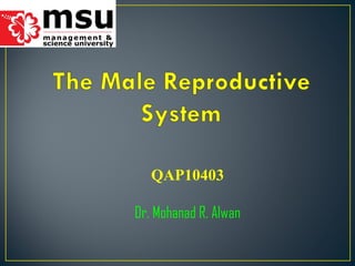 QAP10403
Dr. Mohanad R. Alwan
 