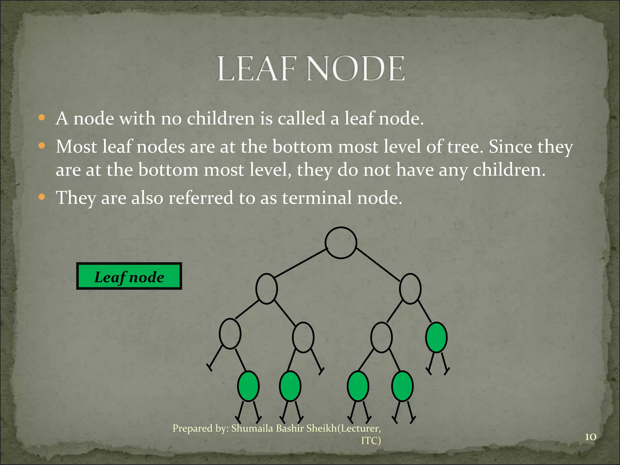 A node with no children is called a leaf node.  Most leaf nodes are at the bottom most level of tree. Since they are at the bottom most level, they do not have any children.  They are also referred to as terminal node. Leaf node Prepared by: Shumaila Bashir Sheikh(Lecturer, ITC) 