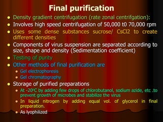 Final purification
 Density gradient centrifugation (rate zonal centrifgation):
 Involves high speed centrifugation of 50,000 t0 70,000 rpm
 Uses some dense substances sucrose/ CsCl2 to create
different densities
 Components of virus suspension are separated according to
size, shape and density (Sedimentation coefficient)
 Testing of purity
 Other methods of final purification are
 Gel electrophoresis
 Gel chromatography
 Storage of purified preparations
 At -20oC by adding few drops of chlorobutanol, sodium azide, etc .to
prevent growth of microbes and stabilize the virus
 In liquid nitrogen by adding equal vol. of glycerol in final
preparation.
 As lyophilized
 