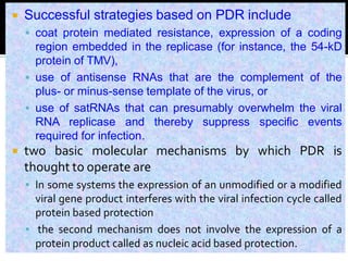 Lect. 14 Pl Path 502 Plant Virus disease Management.pdf