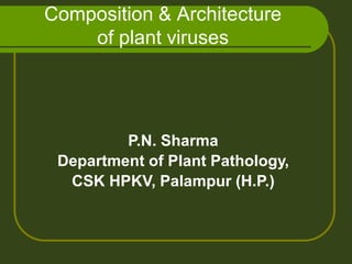 Composition & Architecture
of plant viruses
P.N. Sharma
Department of Plant Pathology,
CSK HPKV, Palampur (H.P.)
 