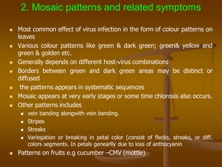 2. Mosaic patterns and related symptoms
 Most common effect of virus infection in the form of colour patterns on
leaves
 Various colour patterns like green & dark green; green& yellow and
green & golden etc.
 Generally depends on different host-virus combinations
 Borders between green and dark green areas may be distinct or
diffused
 the patterns appears in systematic sequences
 Mosaic appears at very early stages or some time chlorosis also occurs.
 Other patterns includes
 vein banding alongwith vein banding.
 Stripes
 Streaks
 Variegation or breaking in petal color (consist of flecks, streaks, or diff.
colors segments. In petals genearlly due to loss of anthocyanin
 Patterns on fruits e.g cucumber –CMV (mottle)
 