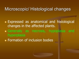 Microscopic/ Histological changes
 Expressed as anatomical and histological
changes in the affected plants.
 Generally as necrosis, hypoplasia and
hyperplasia
 Formation of inclusion bodies
 