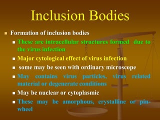 Inclusion Bodies
 Formation of inclusion bodies
 These are intracellular structures formed due to
the virus infection
 Major cytological effect of virus infection
 some may be seen with ordinary microscope
 May contains virus particles, virus related
material or degenerate conditions
 May be nuclear or cytoplasmic
 These may be amorphous, crystalline or pin-
wheel
 
