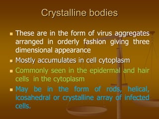 Crystalline bodies
 These are in the form of virus aggregates
arranged in orderly fashion giving three
dimensional appearance
 Mostly accumulates in cell cytoplasm
 Commonly seen in the epidermal and hair
cells in the cytoplasm
 May be in the form of rods, helical,
icosahedral or crystalline array of infected
cells.
 