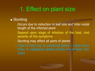 1. Effect on plant size
 Stunting
 Occurs due to reduction in leaf size and inter-nodal
length of the infected plant
 Depend upon stage of infection of the host. And
severity of the symptoms
 Stunting may affect all parts of plants
 Type of host e.g. in perennial plants – takes more
time; in vegetative plants effects are evident over
years
 