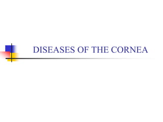 DISEASES OF THE CORNEA
 