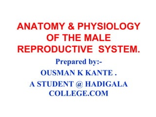 ANATOMY & PHYSIOLOGY
OF THE MALE
REPRODUCTIVE SYSTEM.
Prepared by:-
OUSMAN K KANTE .
A STUDENT @ HADIGALA
COLLEGE.COM
 