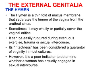 LECT. 14 FEMALE REPRODUCTIVE.ppt