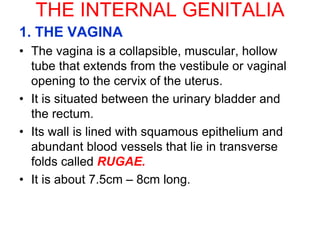 LECT. 14 FEMALE REPRODUCTIVE.ppt