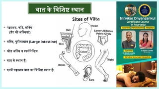⚬ पक्वाशय, कटि, सक्थि
(पैर की अस्थियां)
⚬ वस्ति, पुरीषाधान (Large intestine)
⚬ श्रोत अस्थि व स्पर्शनेन्द्रिय
⚬ वात के स्थान हैं।
⚬ इनमें पक्वाशय वात का विशिष्ट स्थान है।
वात के विशिष्ट स्थान
 