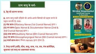 प्राण वायु के कर्म-
5. देह को धारण करना।
6. प्राण वायु सभी इंद्रियों को अपने-अपने विषयों को ग्रहण करने में
प्रवृत्त कराती है। यथा-
(i) गंध ज्ञान-Olfactory Nerve (1st Cranial Nerve) द्वारा ।
(ii) रुप ज्ञान-Optic Nerve & Occulomotor Nerve (2nd &
3rd Cranial Nerve) द्वारा ।
(iii) शब्द ज्ञान-Auditory Nerve (8th Cranial Nerve) द्वारा।
(iv) रस ज्ञान-Glossopharyngeal Nerve (9th Cranial nerve) द्वारा ।
(v) स्पर्श ज्ञान-त्वचा स्थित nerves द्वारा होता है।
7. तेरह प्राणों (अग्नि, सोम, वायु, सत्व, रज, तम, पंच ज्ञानेन्द्रिय,
भूतात्मा एवं मन) का अबलम्बन करना।
 