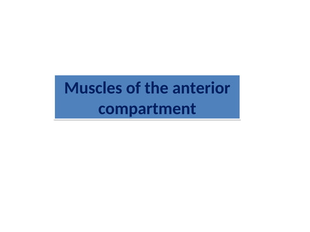 lect. 5- Lateral and Anterior compartments of the leg and foot-1.ppt