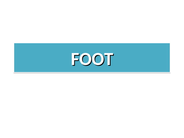lect. 5- Lateral and Anterior compartments of the leg and foot-1.ppt
