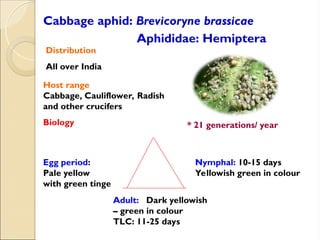 Lect. 3 Pests of crucifers and cucurbited different types of pest like ...