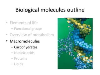 Lect 2 biomolecules-bsc-1010_f13_jc | PPT