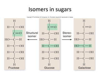 Lect 2 biomolecules-bsc-1010_f13_jc | PPT