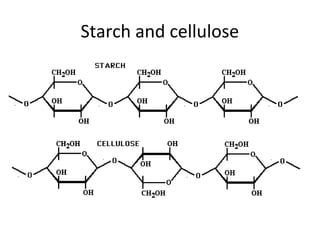 Lect 2 biomolecules-bsc-1010_f13_jc | PPT