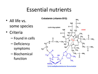 Lect 2 biomolecules-bsc-1010_f13_jc | PPT