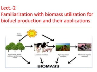 Lect.-2
Familiarization with biomass utilization for
biofuel production and their applications
 