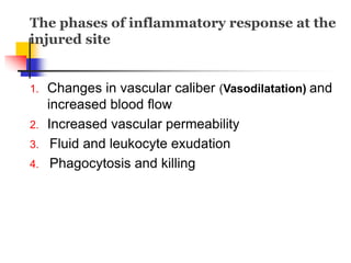 The phases of inflammatory response at the
injured site
1. Changes in vascular caliber (Vasodilatation) and
increased blood flow
2. Increased vascular permeability
3. Fluid and leukocyte exudation
4. Phagocytosis and killing
 